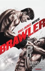 Brawler