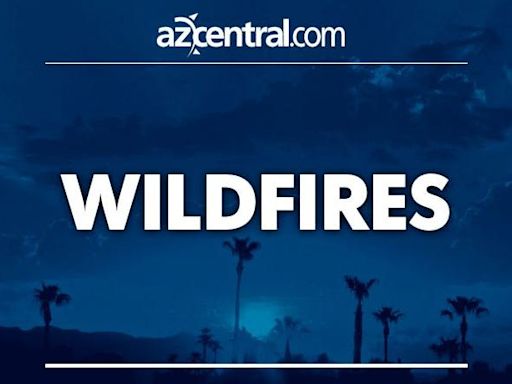 Foote Fire burns 2,000 acres so far near Alpine and Blue, Arizona