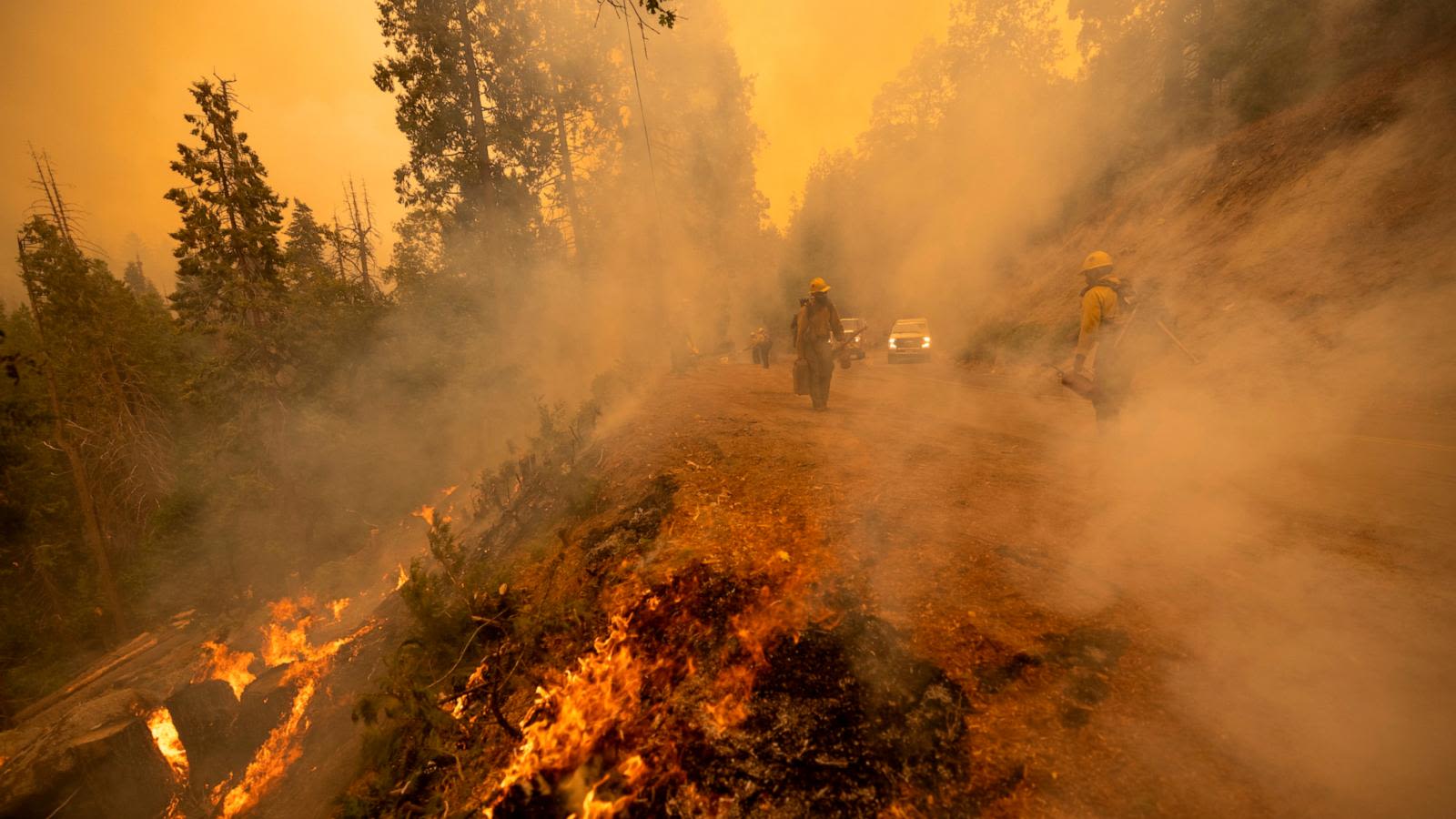 Frequency and magnitude of extreme wildfires have doubled in last 20 years, new study finds