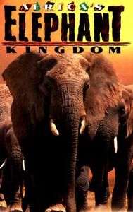 Africa's Elephant Kingdom