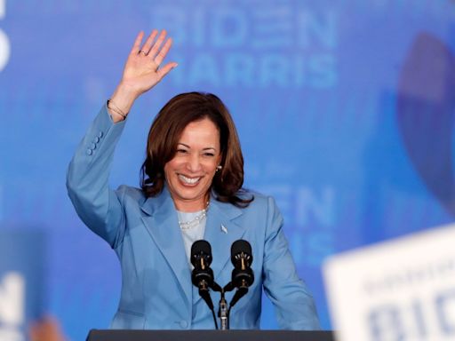 Republican FEC chair suggests Harris may not get Biden war chest