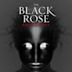 The Black Rose Anthology