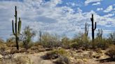 The best desert hikes to try in metro Phoenix now that it's finally cooling off