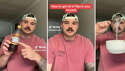 ‘These flies nowadays are super bold': Man shares how to get rid of flies in your house. It only takes 3 household ingredients