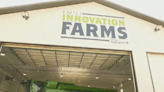 Over $2M invested to develop digital tech in agriculture