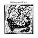 Widespread Panic