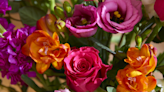 5 floral trends for 2024: The best flowers, pairings & colours