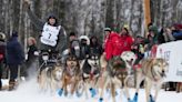 Iditarod musher penalized for not sufficiently gutting moose he killed in ‘self-defense’