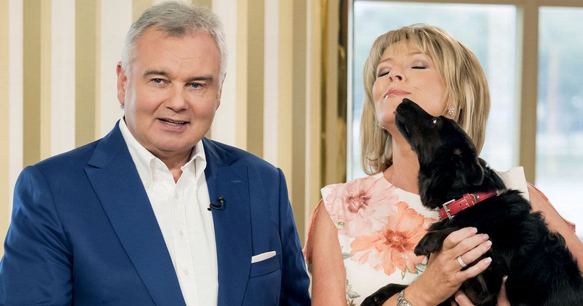 Eamonn Holmes 'to lose beloved dog Maggie as Ruth Langsford to receive custody'