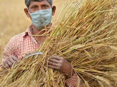 PM Kisan 18th instalment to be released on Oct 5: Check details: PM Kisan Scheme