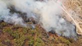 Bosque La Primavera: Controlan incendio en paraje El Colli