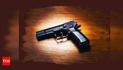 Rajasthan man nabbed at Mollem with gun, ammo | Goa News - Times of India