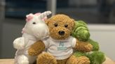 Nemours and Orlando Science Center to host ‘Teddy Bear clinic’
