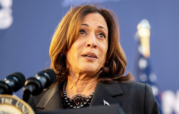 Kamala Harris' husband claims she's not concerned with poor polling numbers: 'Just bounces right off her'