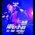 Walking to the Future Live 2014 [Live]