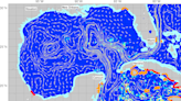 Sargassum drop 'beyond expectation' in Gulf of Mexico, Caribbean. Where will it be in July?