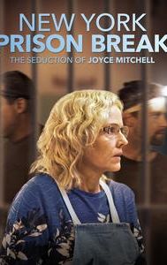 New York Prison Break the Seduction of Joyce Mitchell