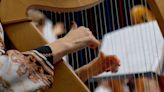 Stunning harpist shuts down 'Karen' over 'begging' claims