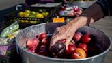 Answer Woman: Are there any South Asheville farmers markets?