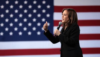 Kamala Harris Has 'World's Largest Zoom Call' With White Women