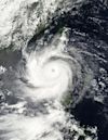 Typhoon Saola (2023)