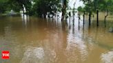 Roads closed as Godavari overflows in Bhadradri Kothagudem in Telangana | Hyderabad News - Times of India
