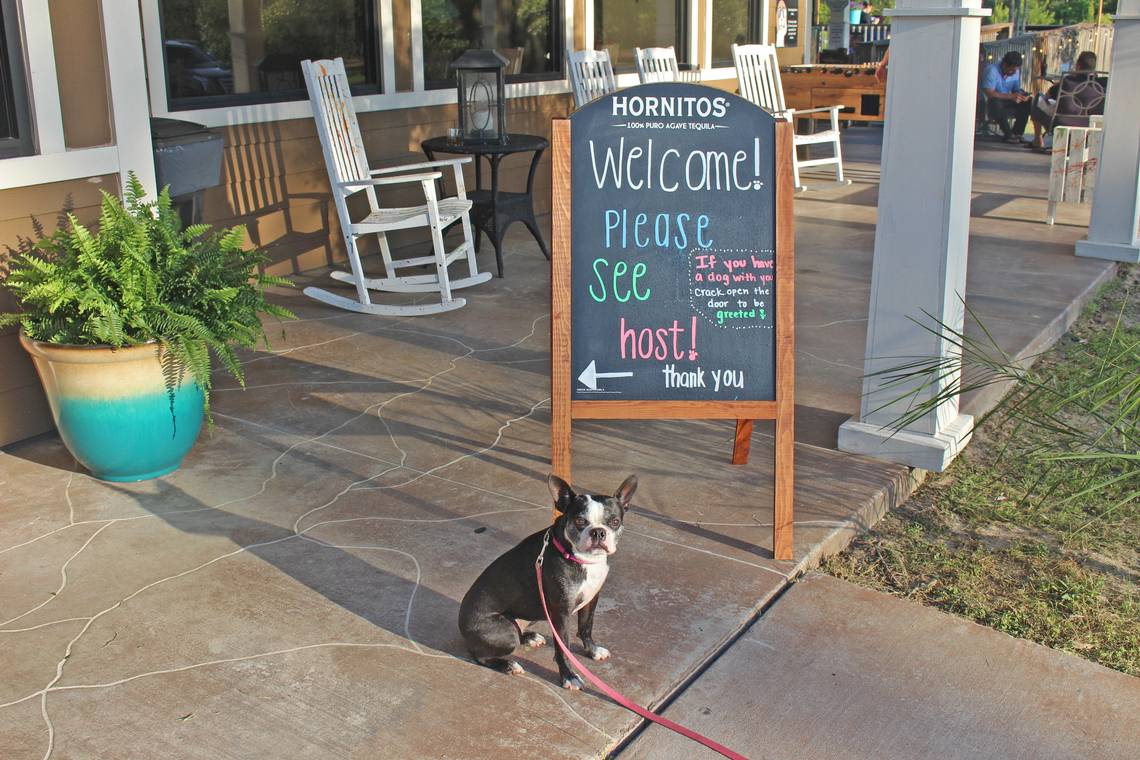 Here are 6 of the best dog friendly Myrtle Beach restaurants to get your pup’s tail wagging