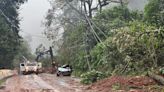 Dois meses depois de catástrofe, debate ambiental pouco avança em Caxias | Pioneiro