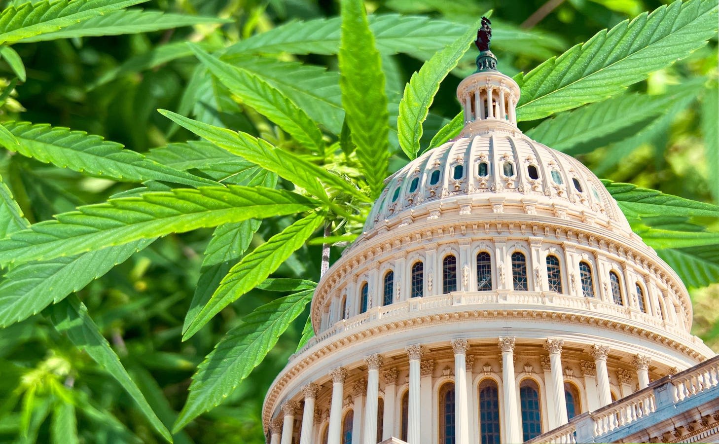 US Senators Introduce Bill To Legalize Marijuana