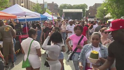 St. Louis police, private security on hand for Cherokee St. Cinco de Mayo Festival