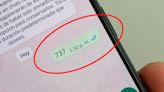WhatsApp hoy: qué significa cuando alguien te envía el número 737 y por qué deberías responder