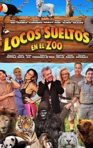 Locos sueltos en el zoo