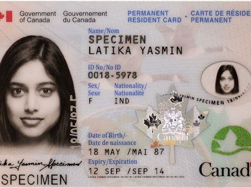 加拿大移民部要「大赦」 或白送楓葉卡
