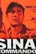 Sinai Commandos: The Story of the Six Day War