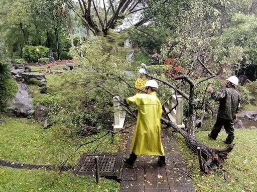 颱風凱米影響 故宮北院至善園樹木傾倒 (圖)