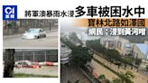 將軍澳水浸多車被水圍困 寶林北路如澤國 網民：浸到黃河咁