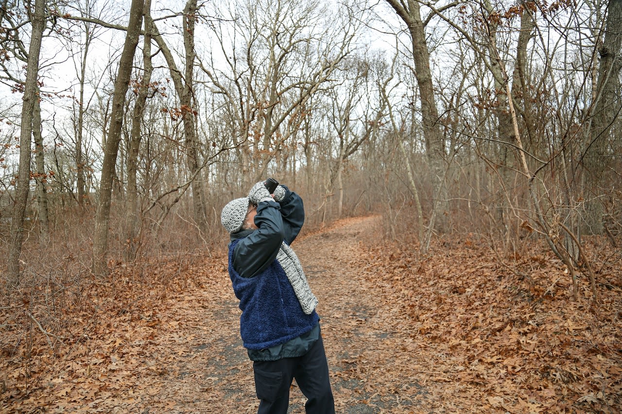 New birding and bridle trail opens at Chippewa Lake, offering scenic views and diverse wildlife