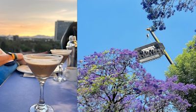 Café de altura en las alturas: una nueva forma de beber en casa