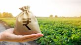 Telangana Budget 2024: State government to cover full premium cost for farmers' crop insurance - CNBC TV18