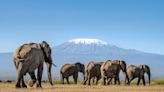 Africa’s best luxury safari holidays