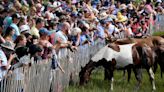 Congrats! Chincoteague ponies now official pony of Virginia as Youngkin signs off on bills