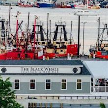 The Black Whale Restaurant - New Bedford, , MA | OpenTable