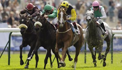 'He was one of the toughest horses I've ever been involved with' - staying star Sergeant Cecil dies at 25