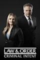 Law & Order: Criminal Intent