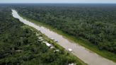 COP27: protección a la Amazonía, tema protagónico en la conferencia sobre cambio climático