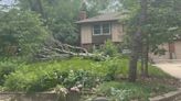 Severe storms leave path of destruction in Johnson County