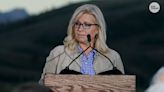 Enjoy Liz Cheney while you can, Democrats. One day you'll hate her