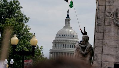 Protesters hoist Palestinian flags in Washington during Netanyahu speech