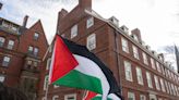 Harvard Suspends Palestine Solidarity Committee Amid Wave of Protests on College Campuses | News | The Harvard Crimson