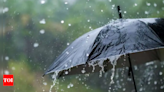 Good Showers In Catchment Areas Not Before End Of June: Forecasters | Pune News - Times of India